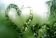 韦斯卡士气高涨，志在冲击前十