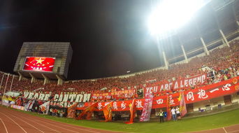 九游官网入口活动-“在金牛区城北体育馆，舞者们以最完美的姿态迎接2025世界运动会运动舞蹈赛！”  第3张