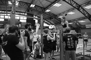 九游体育官网入口-“水上芭蕾与游泳较量：2025世界游泳锦标赛掀起观赛热潮”  第2张